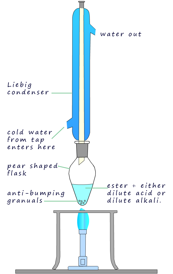 Apparatus for hydrolysis of an ester